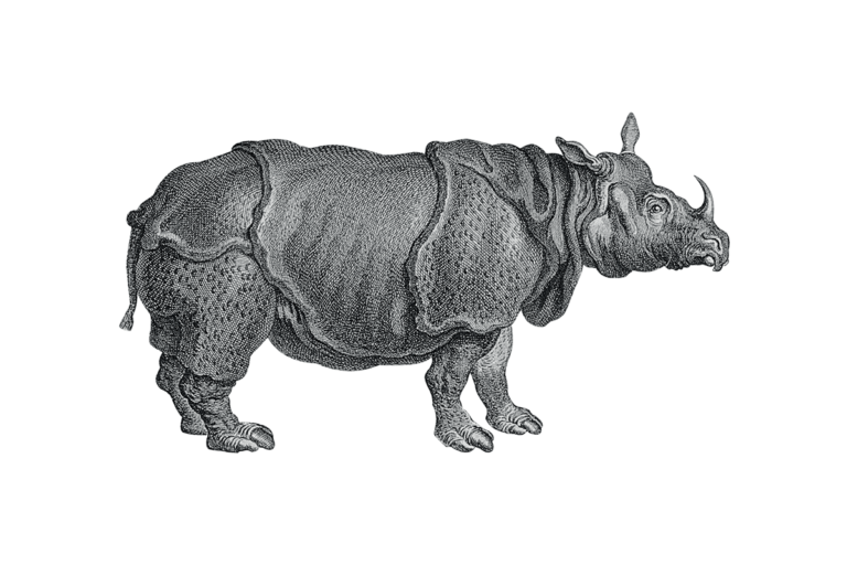 Rhino2def