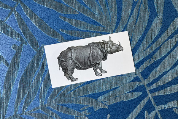 Rhinoceros