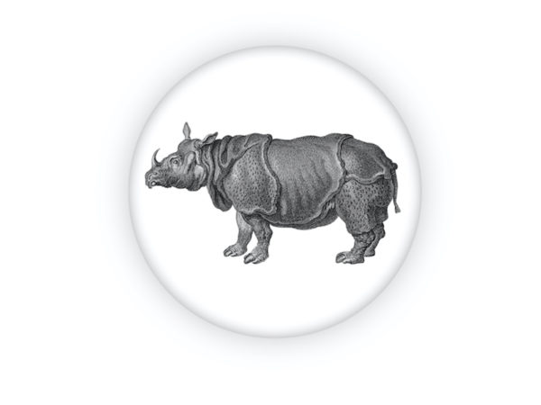 Rhinoceros