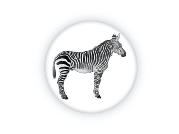 Zebre