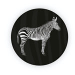 Zebre2