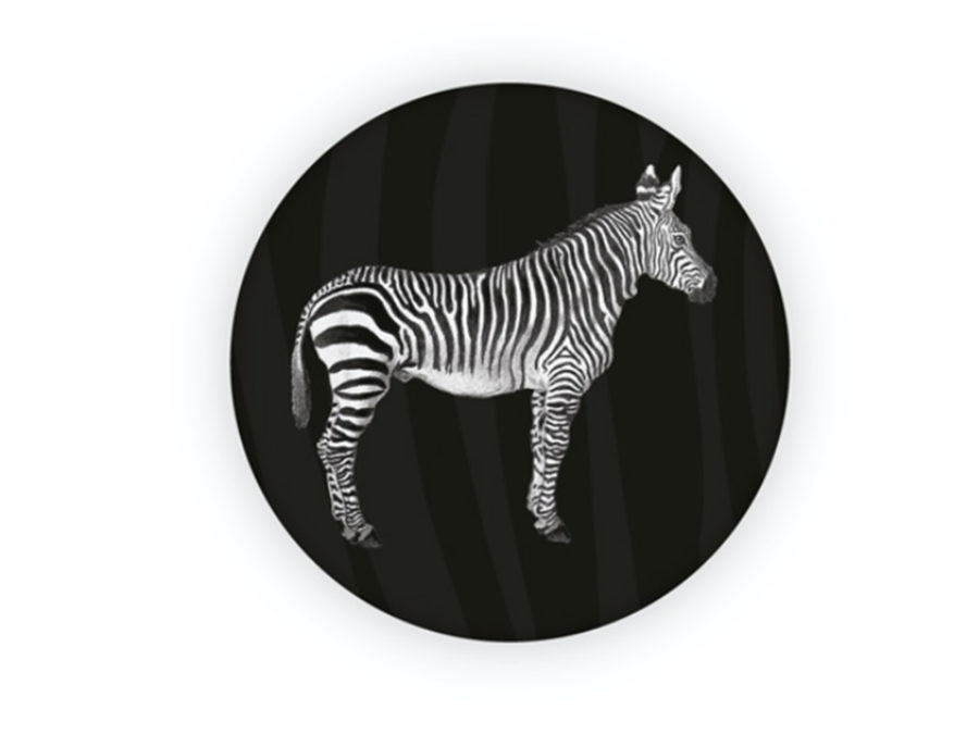 Zebre2